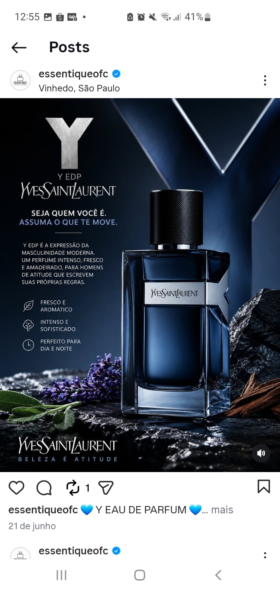 Publicação Essentique 1